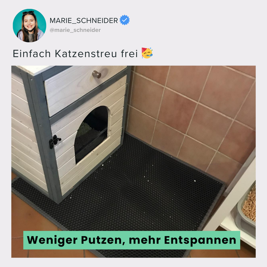 CleanPaw – Genervt vom täglichen Saugen? Diese Matte spart dir Zeit & Nerven!